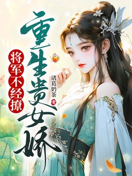 重生贵女军嫂