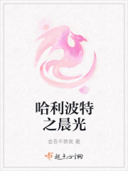 哈利波特之晨光晋江