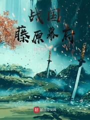 十字军之王3幕府