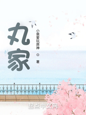 丸家txt
