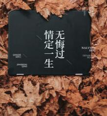 重回七十年代周扬李幼薇沙雕动画