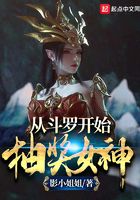 从斗罗开始抽奖女神 第2章