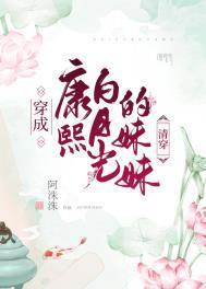 穿成康熙白月光的妹妹(清穿) 阿洙洙