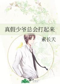 真假少爷总会打起来by素长天