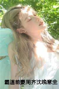 霸道前妻周齐沈晚意结局