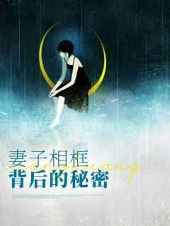 妻子背后的秘密的