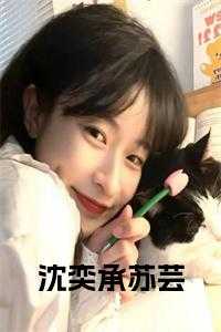 主人公苏奕的