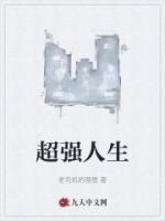 李老板琴琴是什么