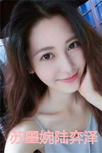 苏墨婉陆弈泽结局