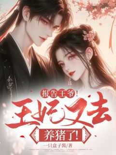 报告王爷王妃又在