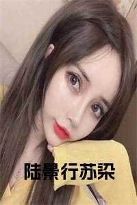 陆景行苏染正版阅读