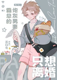 霸总的炮灰男妻稚晚