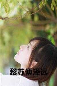 黎苏傅泽远大结局