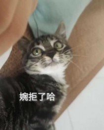 然后婉拒别人