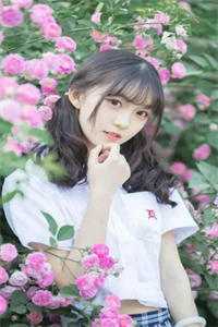秦昭明月秦逸