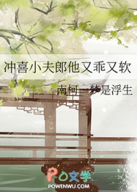 冲喜小夫郎他又乖又软南柯一梦