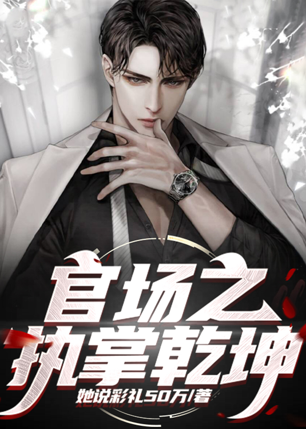 萧宸官场