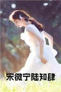 宋知鸢陆璟的