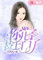 林念陆以尘叶晴免费阅读