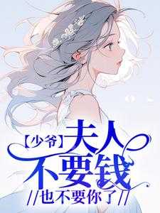苏婉陆修晏