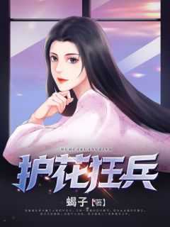 主角叫叶苍的
