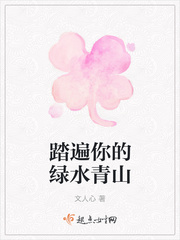 正义的使命简介