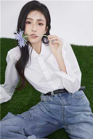 林枫柳如烟徐文礼免费阅读最新更新