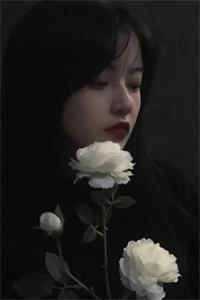 女主叫穆云珞的
