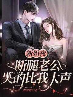 陆景南柳小念短剧名字叫什么
