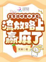 苏米sumy