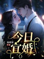 安琪陆珺彦全之免费阅读
