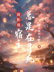 综影视宿主请低调晋江
