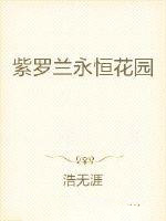 紫罗兰永恒花园主题曲