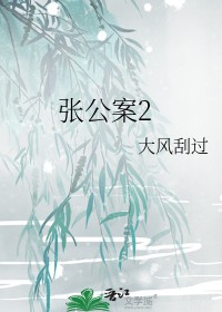 张公案2全文阅读