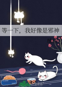 等一下我好像是邪神晋江