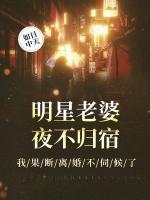 柳展照吴筝第15章