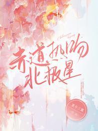赤道和北极是哪部电视剧的主题曲