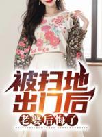 叶尘韩婉儿的免费阅读无弹窗