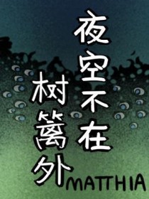 夜空不在树篱外txt