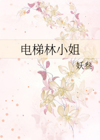 电梯林小姐gl