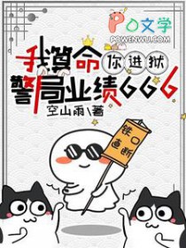 警局业绩666全文