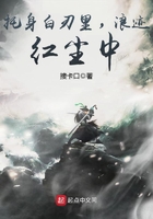 浪迹红尘中无错版