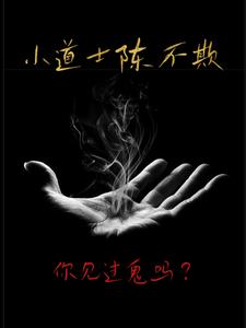 小道士陈不欺TXT