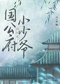 公府小少爷找回来了TXT全本