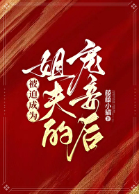 被迫成为姐夫的宠妾后全文
