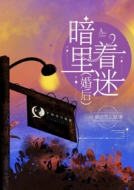 暗里着迷免费阅读全文