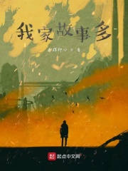 我家故事多作文400字