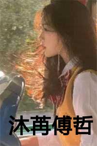 傅柒冉沐陌辰的