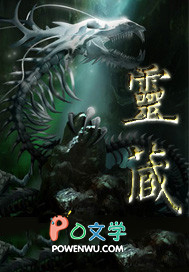 灵藏归墟