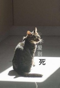 爱到死电视剧泰剧免费观看